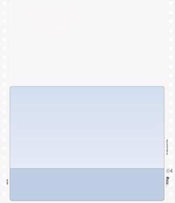 Continuous Blank General Purpose Form, GPF694EN