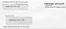 WSGCE2393 Double Window Inside Tint Laser and Continuous Check/Form Self-Seal Envelope