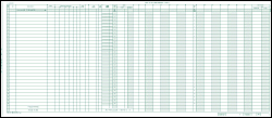 DEL111021 - CASH DISBURSEMENT JOURNAL - 35 Columns