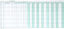 WJD424 CASH DISBURSEMENT JOURNAL - 32 Columns