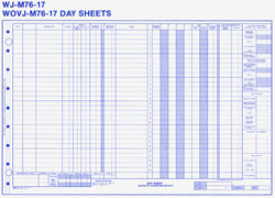 WOVJM7617 HEALTHCARE DAY SHEET