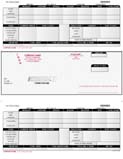 701805 Laser Payroll Check